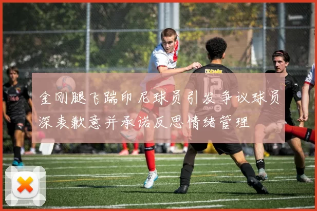 金刚腿飞踹印尼球员引发争议球员深表歉意并承诺反思情绪管理